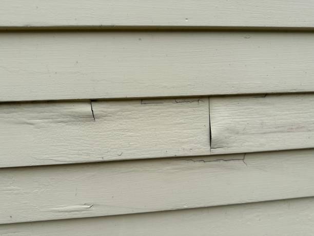 Professional Siding Installation in Homestead Meadows South, TX